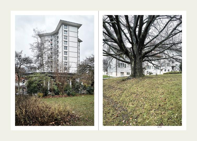 Zürich. Stadtbilder – Urban Portraits